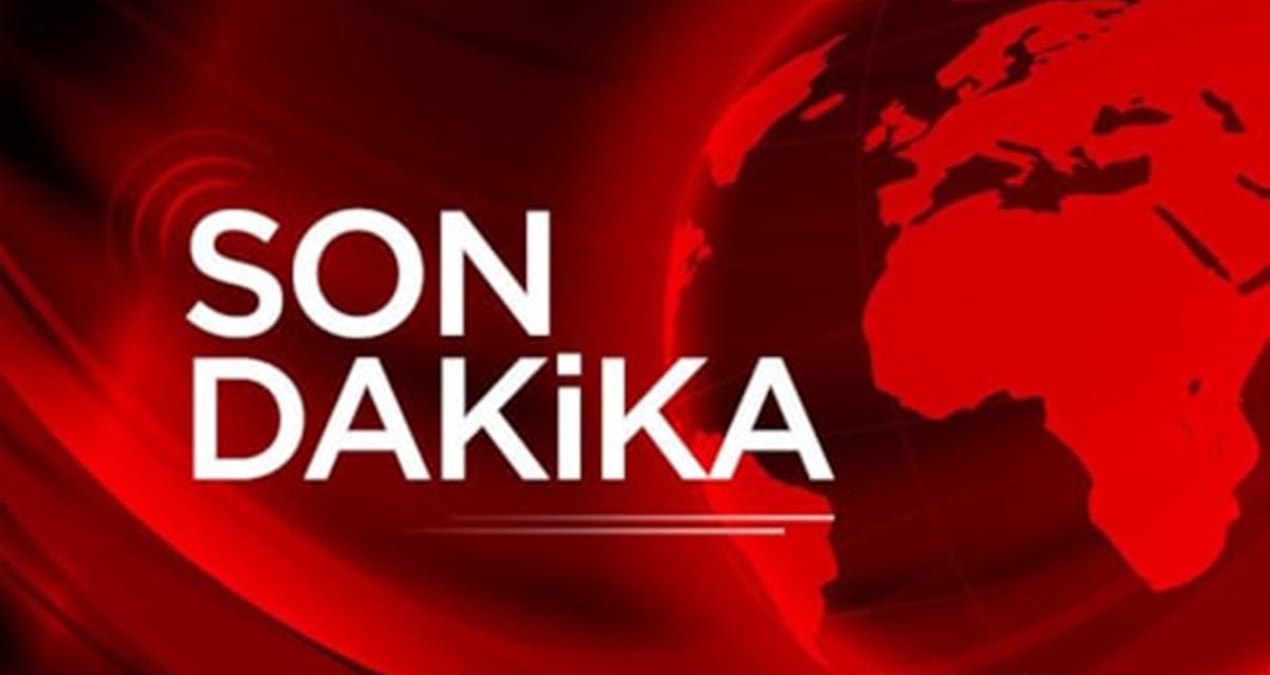 İstanbul’da ormanlık alanda yangın çıktı